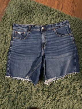 American Eagle Low Rise Baggy Short